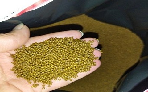 تصویر 2 از خرید خوراک ماهی خاویار + قیمت فروش استثنایی